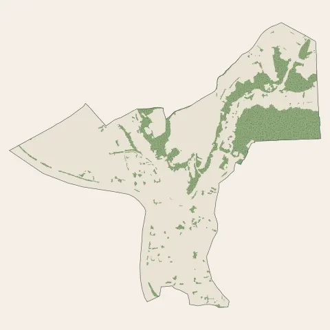 Neuville-sur-Saône : bois, forêts et landes