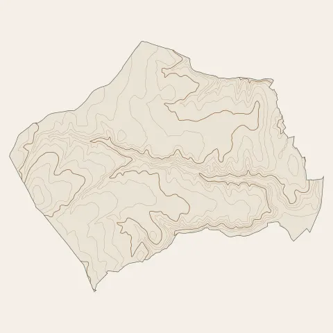 Orliénas : courbes de niveau