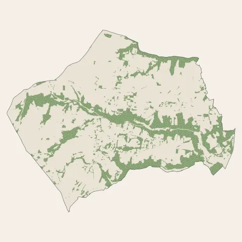 Orliénas : bois, forêts et landes