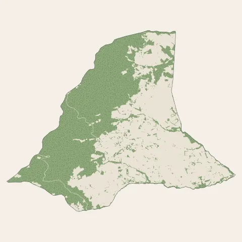 Pollionnay : bois, forêts et landes