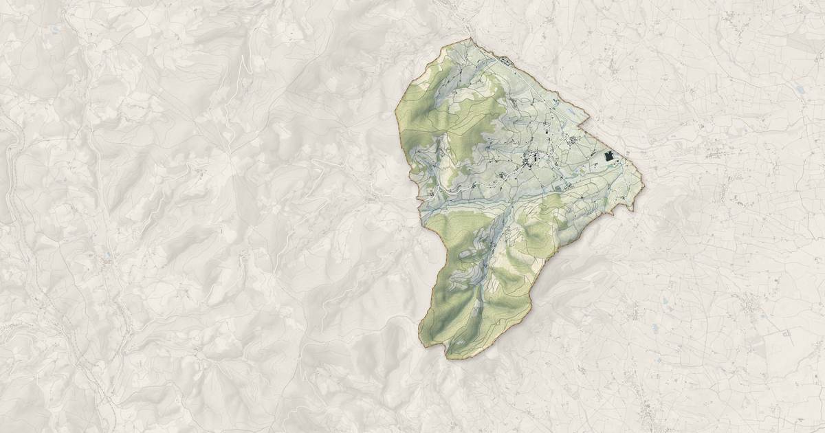 Portrait cartographique de Quincié-en-Beaujolais : relief, eau, forêts, bâti et voies, calculés à partir des données de l'IGN