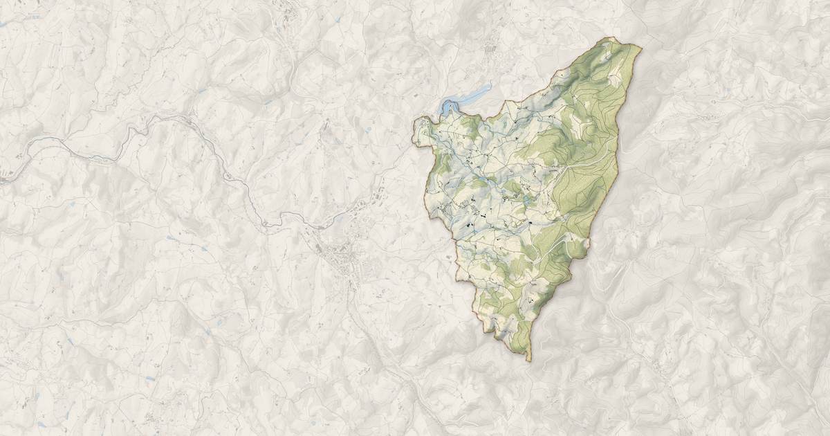Portrait cartographique de Ronno : relief, eau, forêts, bâti et voies, calculés à partir des données de l'IGN