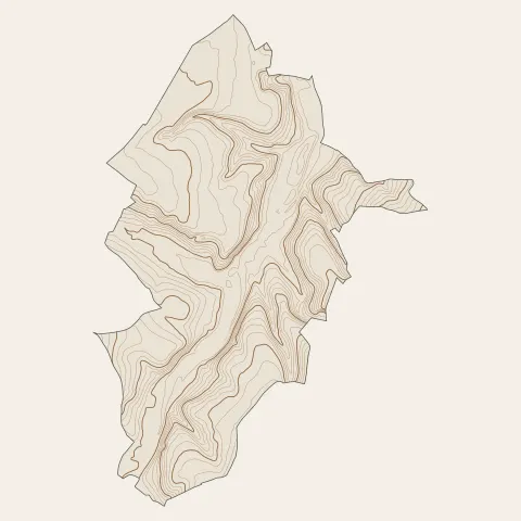 Sain-Bel : courbes de niveau