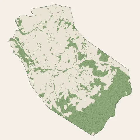 Sourcieux-les-Mines : bois, forêts et landes