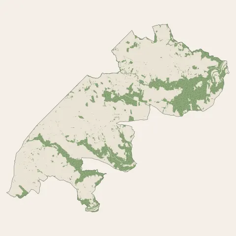 Beauvallon : bois, forêts et landes