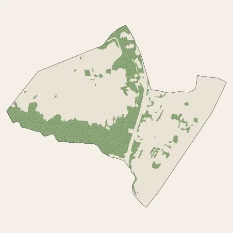 Sainte-Colombe : bois, forêts et landes