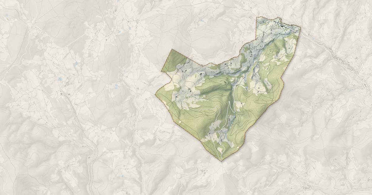 Portrait cartographique de Saint-Didier-sur-Beaujeu : relief, eau, forêts, bâti et voies, calculés à partir des données de l'IGN