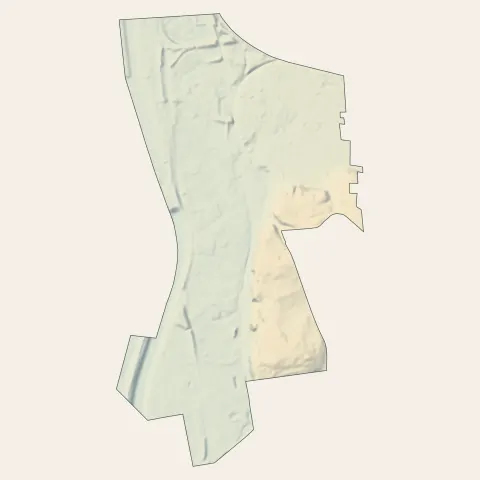 Saint-Fons : relief