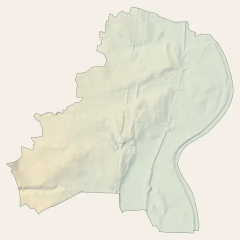 Saint-Georges-de-Reneins : relief