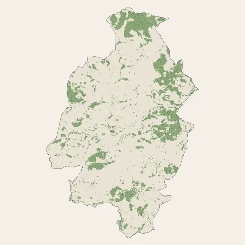 Saint-Martin-en-Haut : bois, forêts et landes