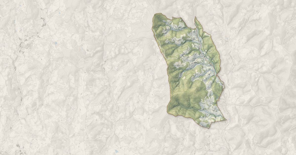 Portrait cartographique de Saint-Nizier-d'Azergues : relief, eau, forêts, bâti et voies, calculés à partir des données de l'IGN