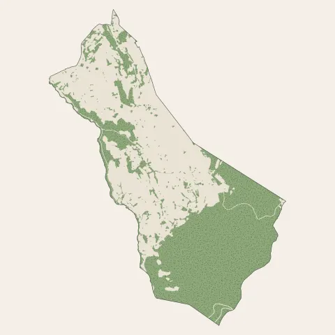 Saint-Pierre-la-Palud : bois, forêts et landes