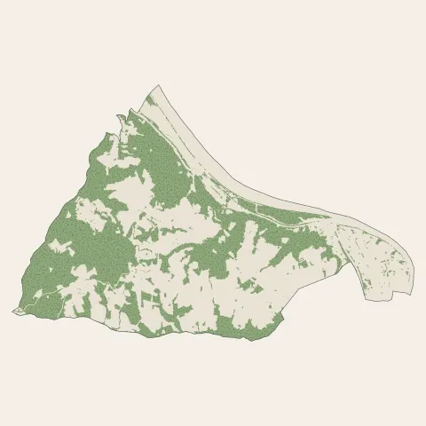 Saint-Romain-en-Gal : bois, forêts et landes