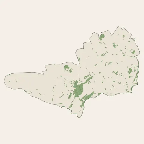 Saint-Symphorien-sur-Coise : bois, forêts et landes
