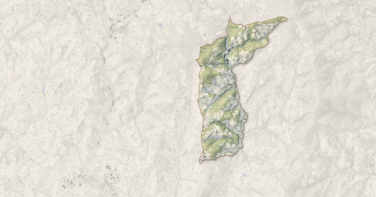 Portrait cartographique de Saint-Vincent-de-Reins : relief, eau, forêts, bâti et voies, calculés à partir des données de l'IGN