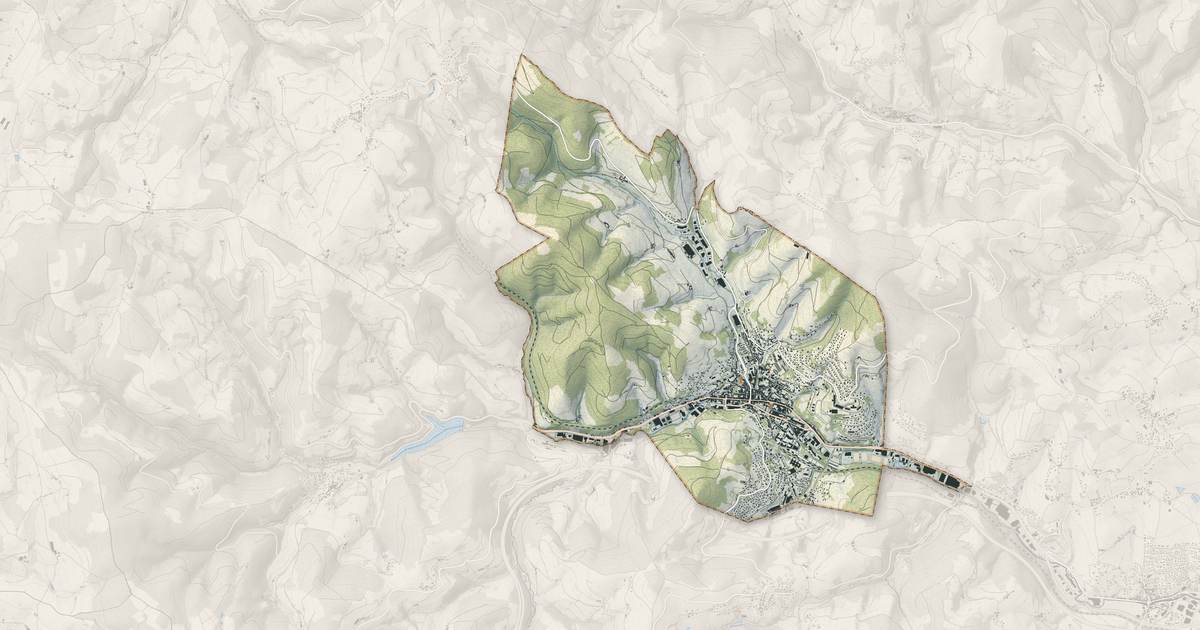 Portrait cartographique de Tarare : relief, eau, forêts, bâti et voies, calculés à partir des données de l'IGN