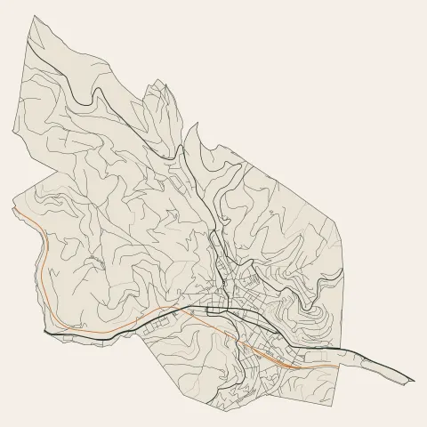Tarare : voies