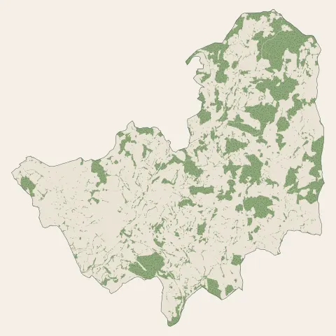 Thizy-les-Bourgs : bois, forêts et landes