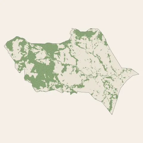 Thurins : bois, forêts et landes