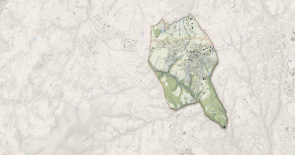 Portrait cartographique de La Tour-de-Salvagny : relief, eau, forêts, bâti et voies, calculés à partir des données de l'IGN