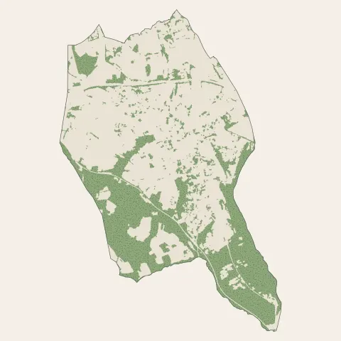 La Tour-de-Salvagny : bois, forêts et landes