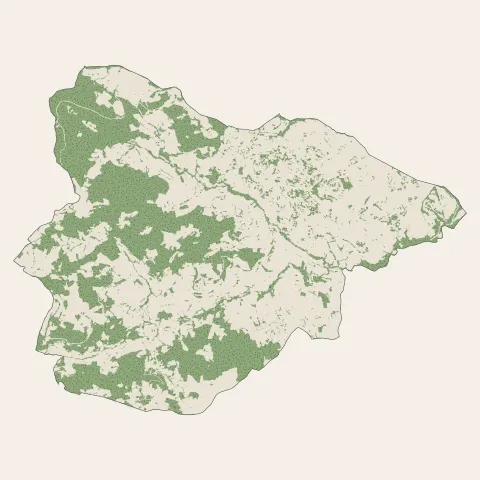 Vaugneray : bois, forêts et landes