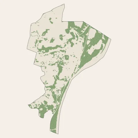 Vernaison : bois, forêts et landes