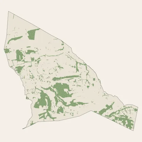 Chaponnay : bois, forêts et landes