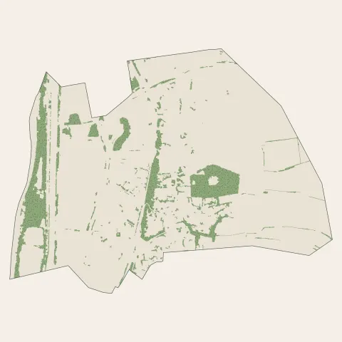 Feyzin : bois, forêts et landes