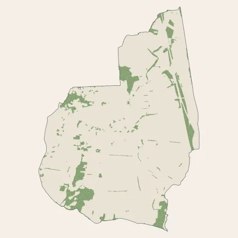 Montanay : bois, forêts et landes