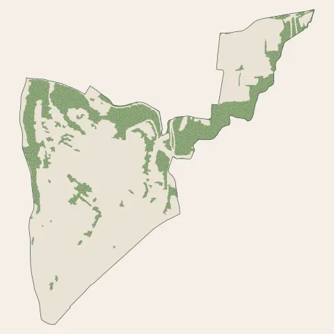 Sathonay-Camp : bois, forêts et landes
