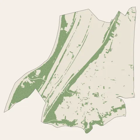 Solaize : bois, forêts et landes
