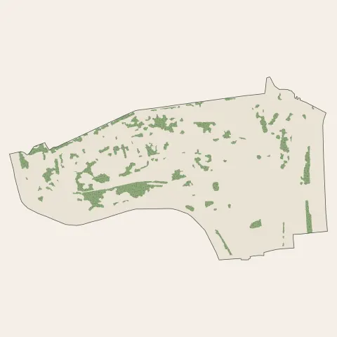 Lyon 1er Arrondissement : bois, forêts et landes