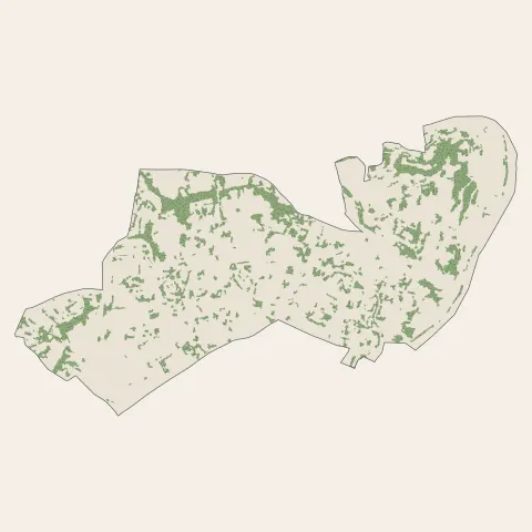 Lyon 5e Arrondissement : bois, forêts et landes