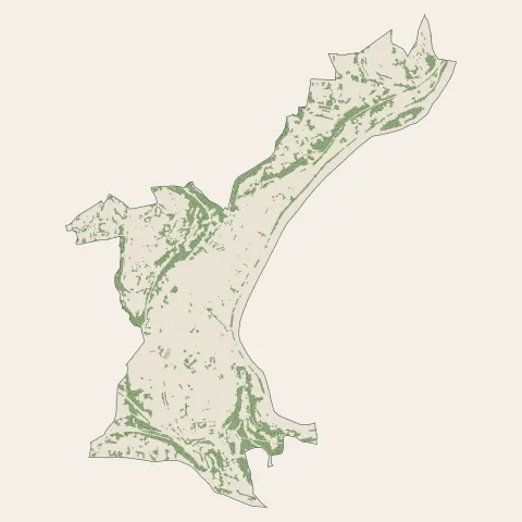 Lyon 9e Arrondissement : bois, forêts et landes