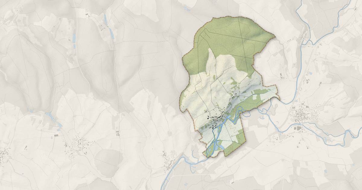 Portrait cartographique de Bassigney : relief, eau, forêts, bâti et voies, calculés à partir des données de l'IGN