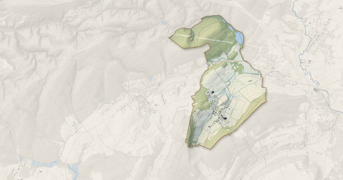 Portrait cartographique de Coisevaux : relief, eau, forêts, bâti et voies, calculés à partir des données de l'IGN