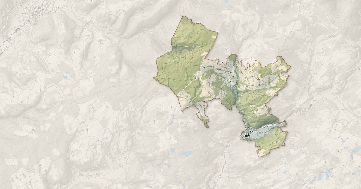 Portrait cartographique de La Longine : relief, eau, forêts, bâti et voies, calculés à partir des données de l'IGN