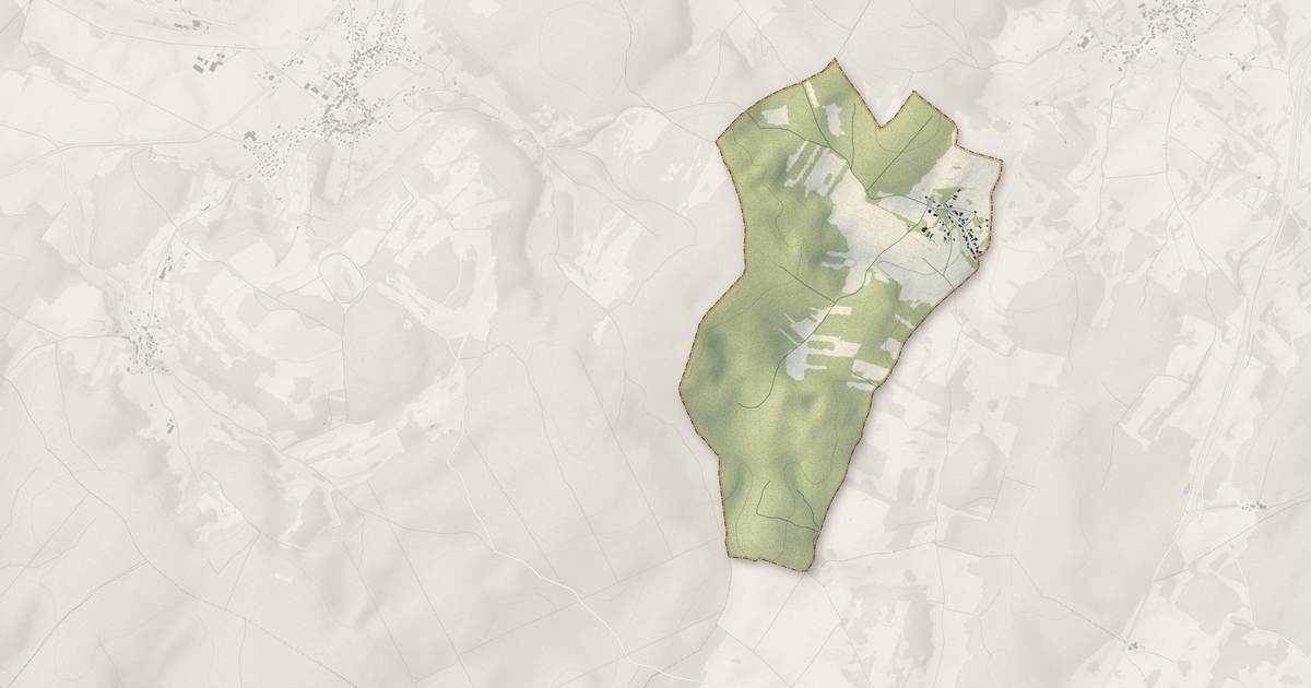 Portrait cartographique de Le Magnoray : relief, eau, forêts, bâti et voies, calculés à partir des données de l'IGN