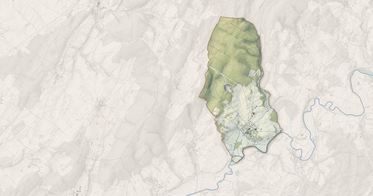 Portrait cartographique de Pin : relief, eau, forêts, bâti et voies, calculés à partir des données de l'IGN