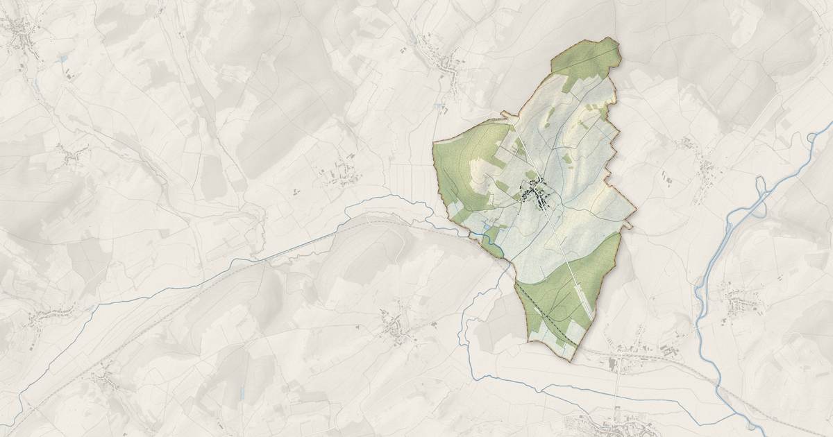 Portrait cartographique de Raincourt : relief, eau, forêts, bâti et voies, calculés à partir des données de l'IGN