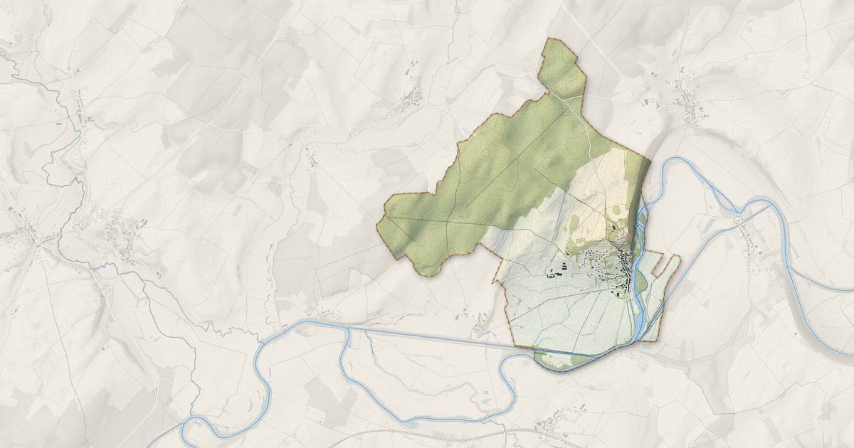 Portrait cartographique de Ray-sur-Saône : relief, eau, forêts, bâti et voies, calculés à partir des données de l'IGN