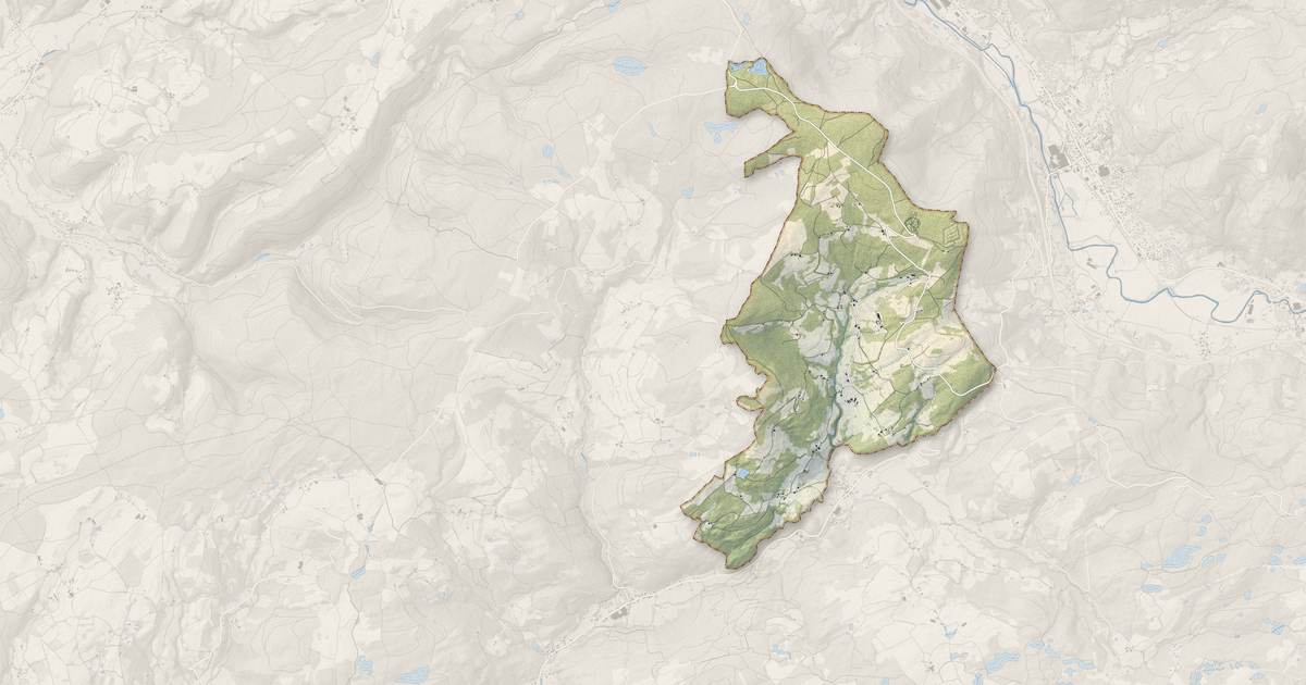Portrait cartographique de La Rosière : relief, eau, forêts, bâti et voies, calculés à partir des données de l'IGN
