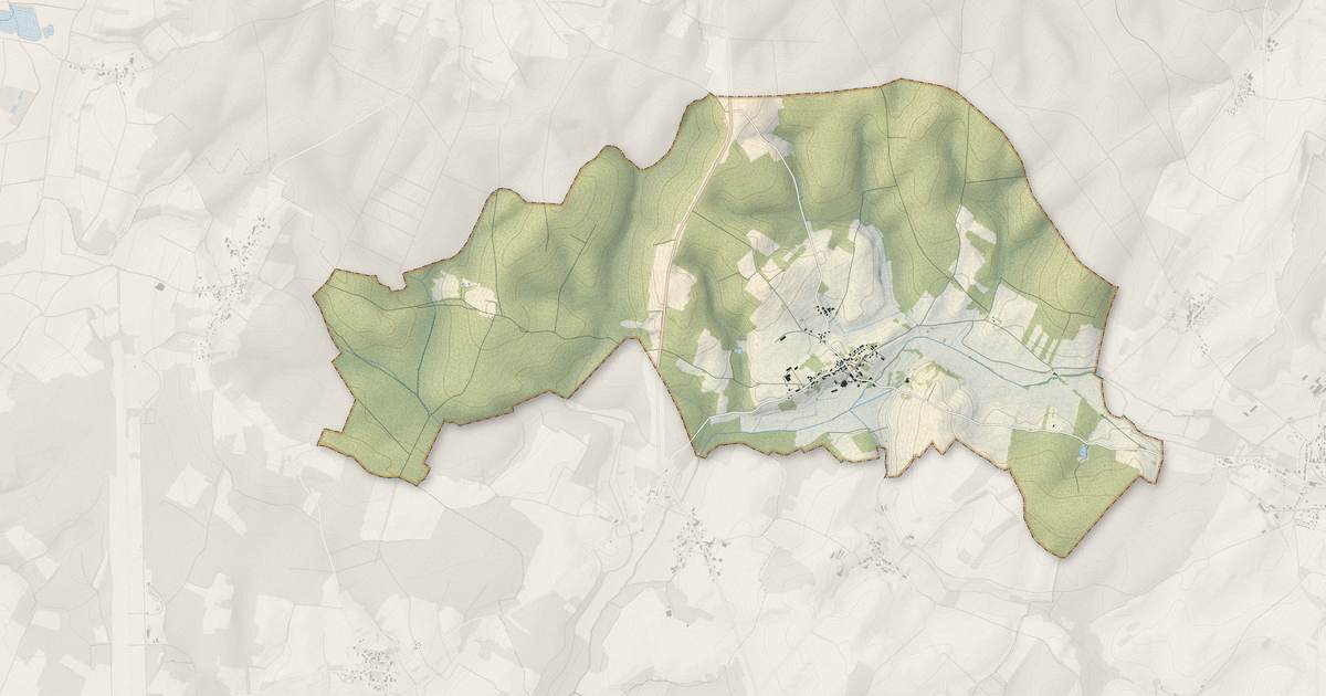 Portrait cartographique de Vadans : relief, eau, forêts, bâti et voies, calculés à partir des données de l'IGN