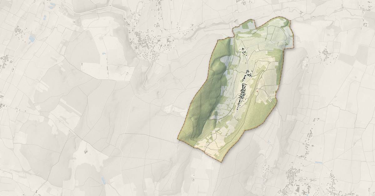 Portrait cartographique de Burgy : relief, eau, forêts, bâti et voies, calculés à partir des données de l'IGN