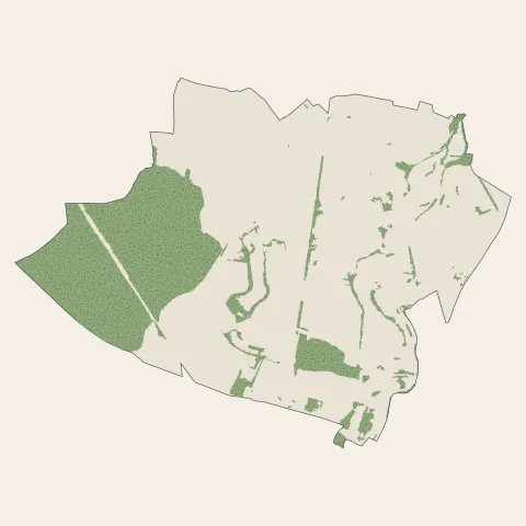 Champforgeuil : bois, forêts et landes