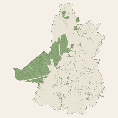 Charolles : bois, forêts et landes