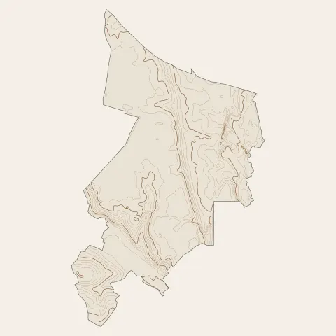 Châtenoy-le-Royal : courbes de niveau
