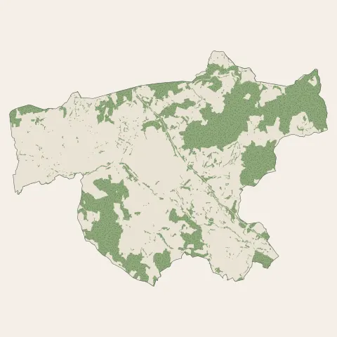 Chauffailles : bois, forêts et landes