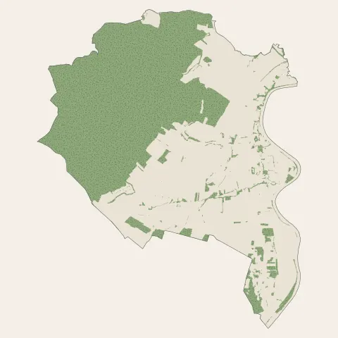 Gergy : bois, forêts et landes